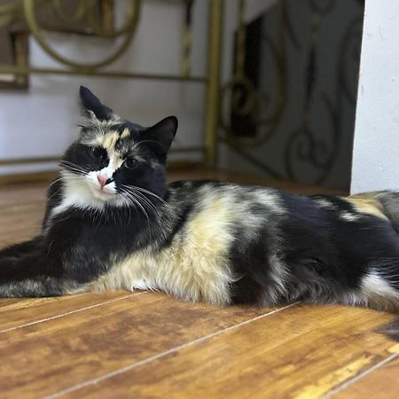 Guesto Hostel Τασκένδη Εξωτερικό φωτογραφία